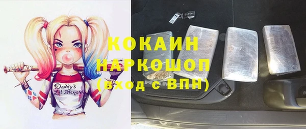 хмурый Белокуриха