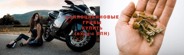 2c-b Беломорск