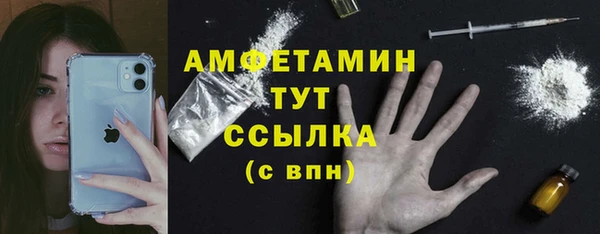 хмурый Белокуриха