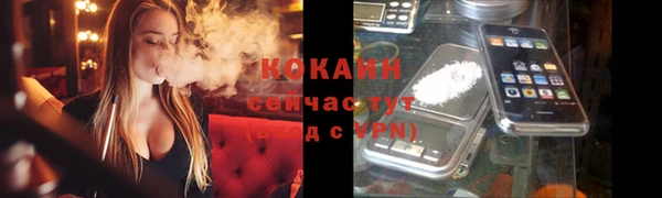 хмурый Белокуриха