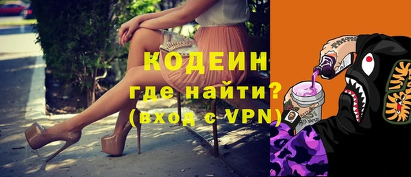хмурый Белокуриха