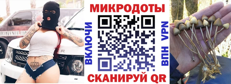 Псилоцибиновые грибы прущие грибы Малмыж